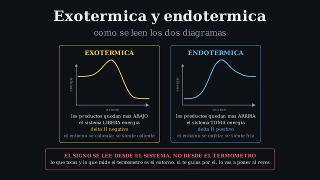 Diagramas exotérmico y endotérmico